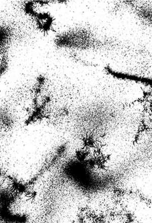 Ecotones de Valentin Bansac