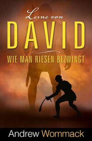 Lerne von David de Andrew Wommack