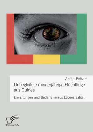 Unbegleitete minderjährige Flüchtlinge aus Guinea. Erwartungen und Bedarfe versus Lebensrealität de Anika Peltzer