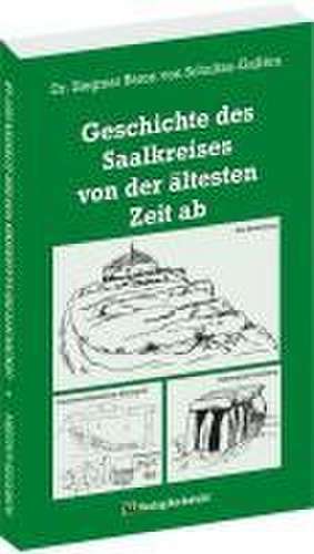 Geschichte des Saalkreises von der ältesten Zeit ab de Siegmar Baron von Schultze-Gallera