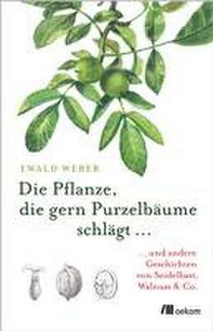 Die Pflanze, die gern Purzelbäume schlägt ... de Ewald Weber