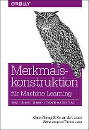 Merkmalskonstruktion für Machine Learning de Alice Zheng