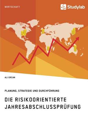 Die risikoorientierte Jahresabschlussprüfung. Planung, Strategie und Durchführung de Ali Ercan