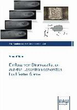 Einfluss von Strahloszillation auf das Laserstrahlschweißen hochfester Stähle de Vincent Mann