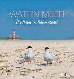 Watt'n Meer Postkartenkalender 2025 - Die Natur im Nationalpark de Eiland