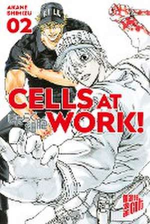 Cells at Work! 2 de Akane Shimizu