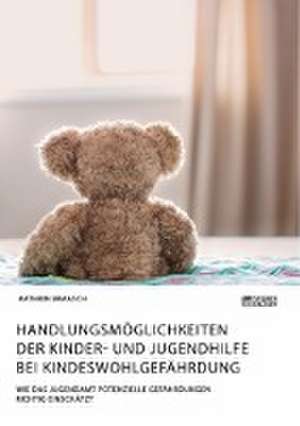 Handlungsmöglichkeiten der Kinder- und Jugendhilfe bei Kindeswohlgefährdung. Wie das Jugendamt potenzielle Gefährdungen richtig einschätzt de Kathrin Braasch