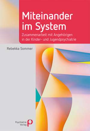 Miteinander im System de Rebekka Sommer