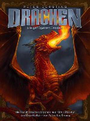 Drachen de Peter Bergting