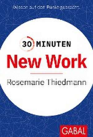 30 Minuten New Work de Rosemarie Thiedmann