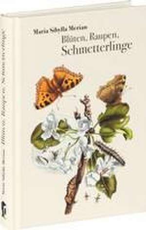 Blüten, Raupen, Schmetterlinge de Maria Sibylla Merian