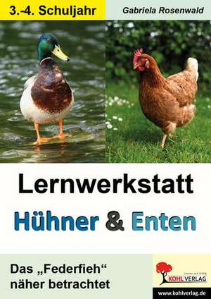 Lernwerkstatt Hühner & Enten / Grundschule de Gabriela Rosenwald