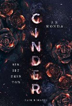 Cinder de J. S. Wonda