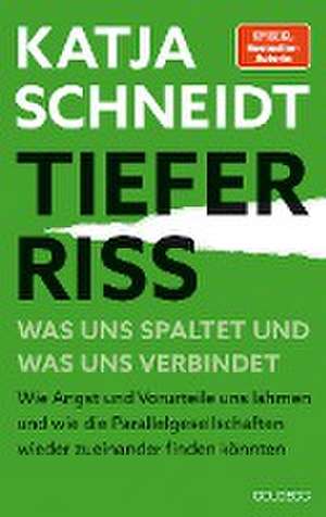 Tiefer Riss - Was uns spaltet und was uns verbindet de Katja Schneidt