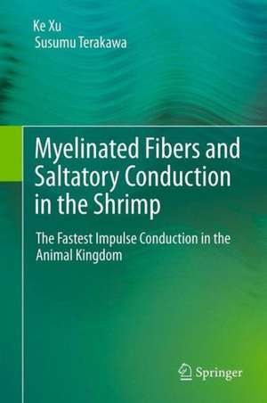 Myelinated Fibers and Saltatory Conduction in the Shrimp: The Fastest Impulse Conduction in the Animal Kingdom de Ke Xu