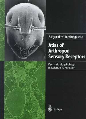 Atlas of Arthropod Sensory Receptors: Dynamic Morphology in Relation to Function de Eisuke Eguchi