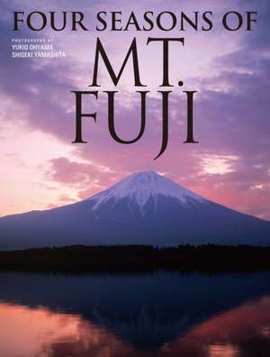 Four Seasons of Mt. Fuji de Yukio Ohyana