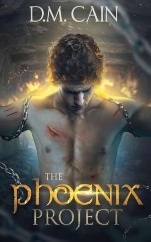 The Phoenix Project de D M Cain