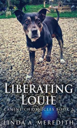 Liberating Louie de Linda A. Meredith