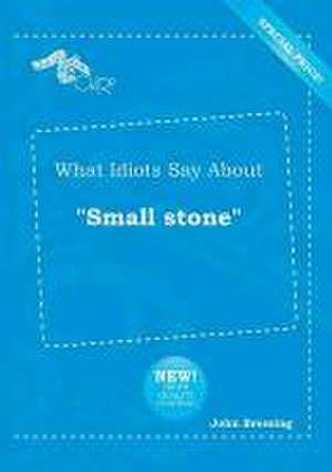 What Idiots Say about Small Stone de John Bressing