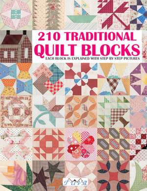 210 Traditional Quilt Blocks de Unknown