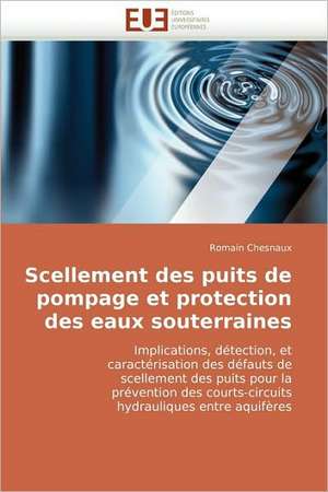 Scellement Des Puits de Pompage Et Protection Des Eaux Souterraines: Representations Phonologiques Utilisees de Romain Chesnaux