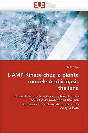 L Amp-Kinase Chez La Plante Modele Arabidopsis Thaliana: Une Etude Semantique de La Totalite de Cécile Polge