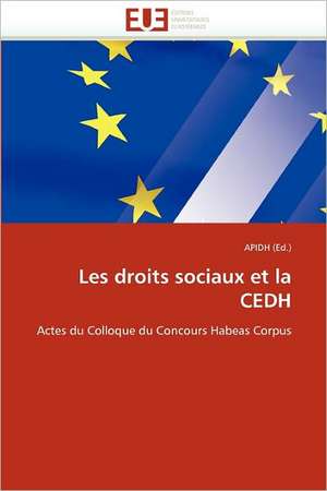 Les droits sociaux et la CEDH de APIDH (Ed.)