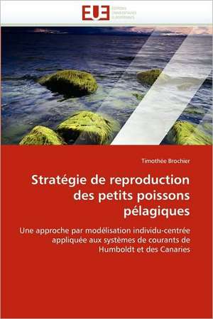 Stratégie de reproduction des petits poissons pélagiques de Timothée Brochier