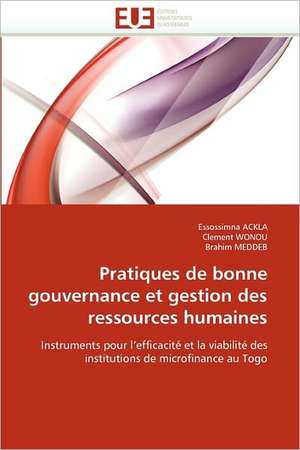 Pratiques de Bonne Gouvernance Et Gestion Des Ressources Humaines: Terre de Metissages de Essossimna ACKLA