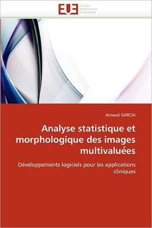 Analyse statistique et morphologique des images multivaluées de Arnaud GARCIA