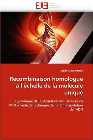 Recombinaison homologue à l'échelle de la molécule unique de Judith Miné-Hattab