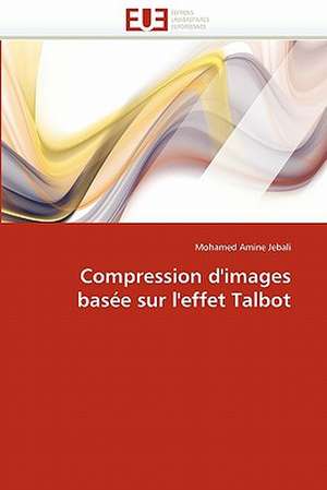 Compression d'images basée sur l'effet Talbot de Mohamed Amine Jebali