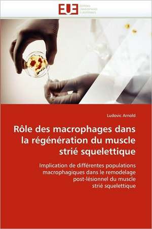 Rôle des macrophages dans la régénération du muscle strié squelettique de Ludovic Arnold