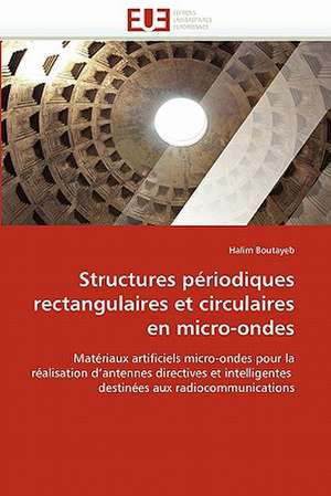 Structures périodiques rectangulaires et circulaires en micro-ondes de Halim Boutayeb