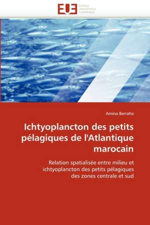 Ichtyoplancton Des Petits Pelagiques de L'Atlantique Marocain: Une Evaluation Du Modele Riskmetrics de Amina Berraho