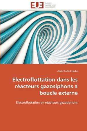 Electroflottation Dans Les Reacteurs Gazosiphons a Boucle Externe: Une Evaluation Du Modele Riskmetrics de Abdel hafid Essadki