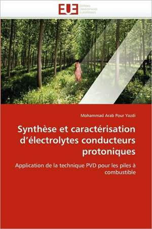 Synthese Et Caracterisation D Electrolytes Conducteurs Protoniques: de La Propriete A L''Application de Mohammad Arab Pour Yazdi