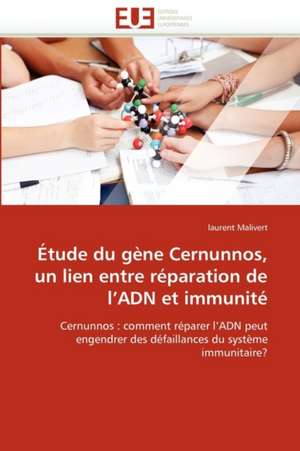 Étude du gène Cernunnos, un lien entre réparation de l'ADN et immunité de laurent Malivert