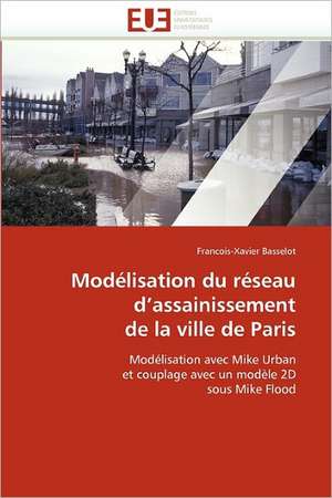 Modélisation du réseau d'assainissement de la ville de Paris de Francois-Xavier Basselot