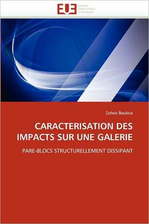 Caracterisation Des Impacts Sur Une Galerie de Zoheir Boukria