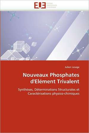 Nouveaux Phosphates d'Elément Trivalent de Julien Lesage