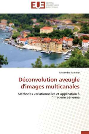 Deconvolution Aveugle D'Images Multicanales: Application a la Fiabilite Et Au Diagnostic de Alexandre Hammer