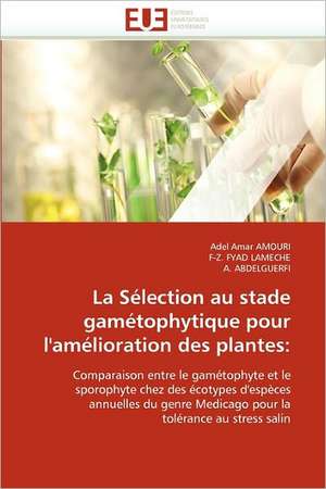 La Sélection au stade gamétophytique pour l'amélioration des plantes de Adel Amar AMOURI