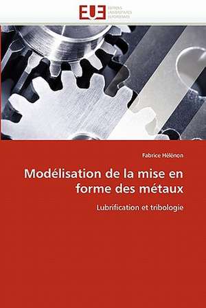 Modélisation de la mise en forme des métaux de Fabrice Hélénon