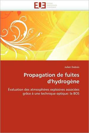 Propagation de fuites d''hydrogène de Julien Dubois