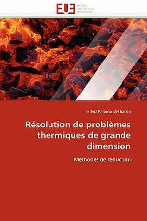 R Solution de Problemes Thermiques de Grande Dimension: Quel Consensus? de Elena Palomo del Barrio