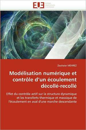 Modélisation numérique et contrôle d¿un écoulement décollé-recollé de Zouhaier Mehrez