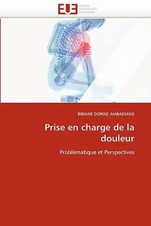 Prise en charge de la douleur de Bibiane Dorine Ambadiang