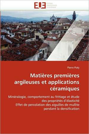 Matières premières argileuses et applications céramiques de Pierre Pialy